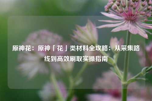 原神花：原神「花」类材料全攻略：从采集路线到高效刷取实操指南