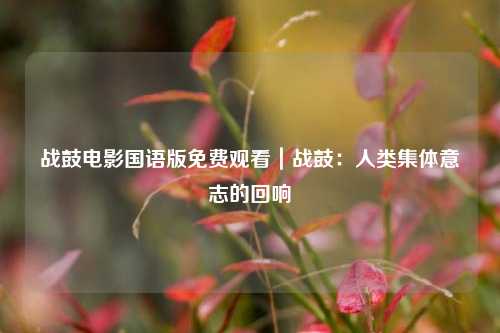 战鼓电影国语版免费观看｜战鼓：人类集体意志的回响