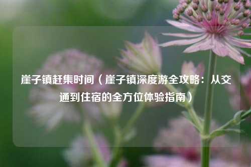 崖子镇赶集时间（崖子镇深度游全攻略：从交通到住宿的全方位体验指南）