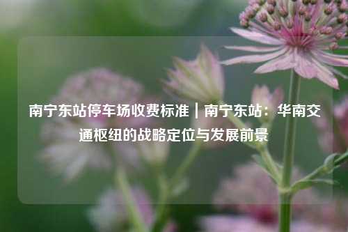 南宁东站停车场收费标准｜南宁东站：华南交通枢纽的战略定位与发展前景
